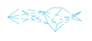 Logo featuring a geometric diamond shape with letters 'DSM' on a blue background.